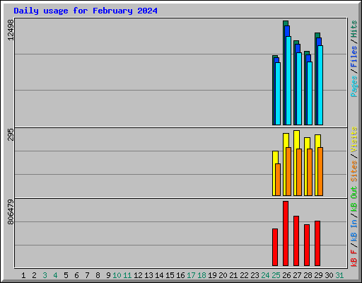 Daily usage for February 2024