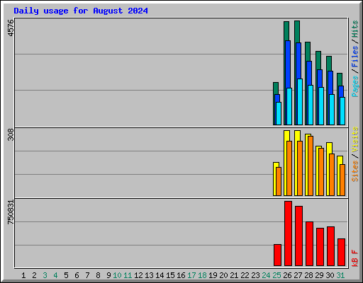 Daily usage for August 2024