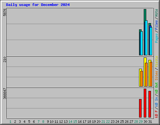 Daily usage for December 2024
