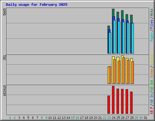 Daily usage for February 2025