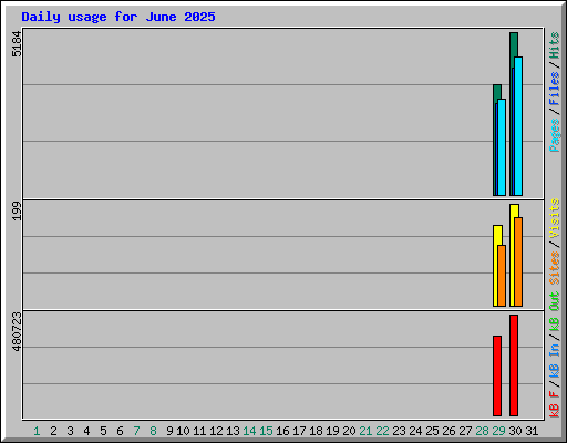 Daily usage for June 2025