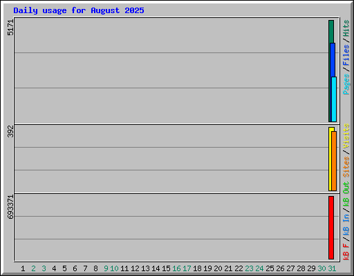 Daily usage for August 2025