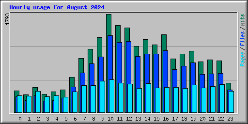 Hourly usage for August 2024
