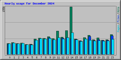 Hourly usage for December 2024