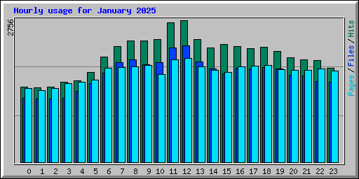 Hourly usage for January 2025