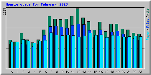 Hourly usage for February 2025