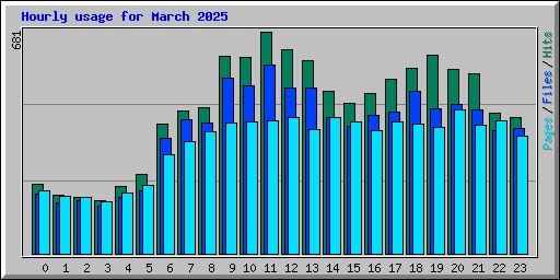 Hourly usage for March 2025