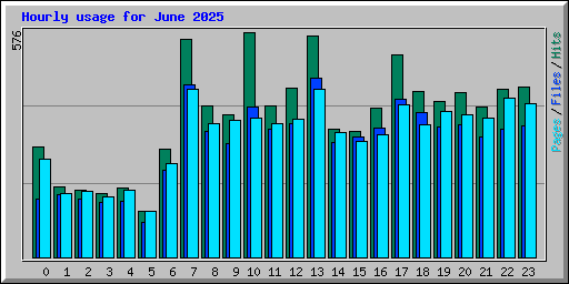 Hourly usage for June 2025