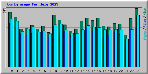 Hourly usage for July 2025