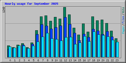 Hourly usage for September 2025