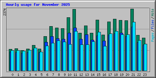 Hourly usage for November 2025
