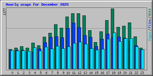 Hourly usage for December 2025