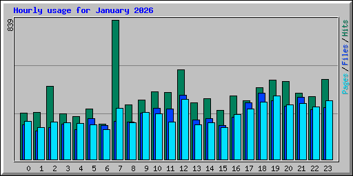 Hourly usage for January 2026