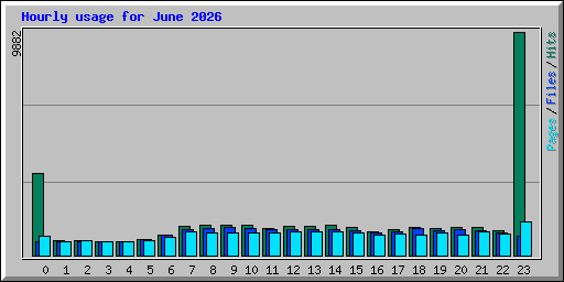Hourly usage for June 2026